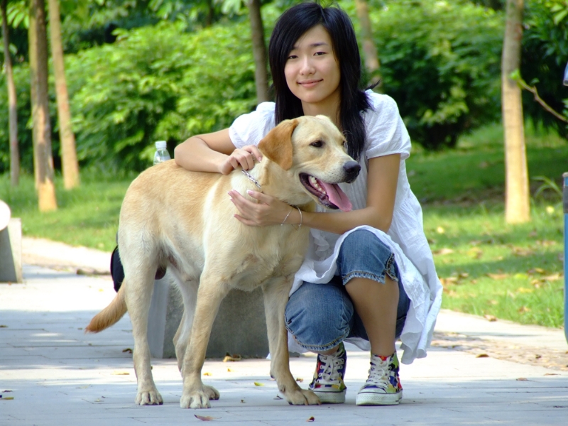 风中的绿叶的第一张照片--丽水相亲服务中心