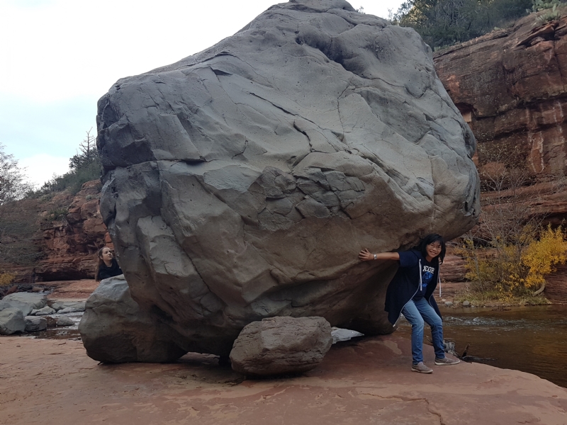 Apple的第一张照片--丽水相亲服务中心