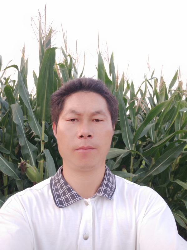 四海游龙的第二张照片--丽水相亲服务中心