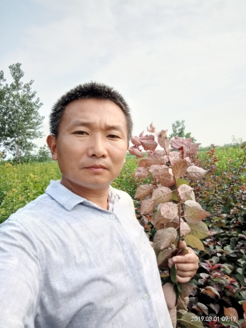 孩子爸的第二张照片--丽水相亲服务中心