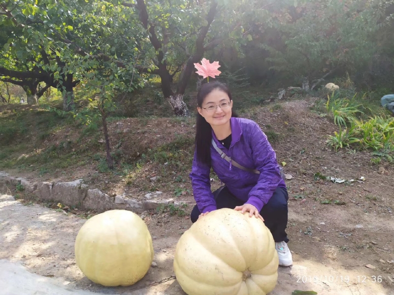 海绵宝宝的第一张照片--丽水相亲服务中心