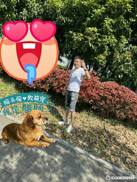 我若不坚强谁替我勇敢的第五张照片--丽水相亲服务中心