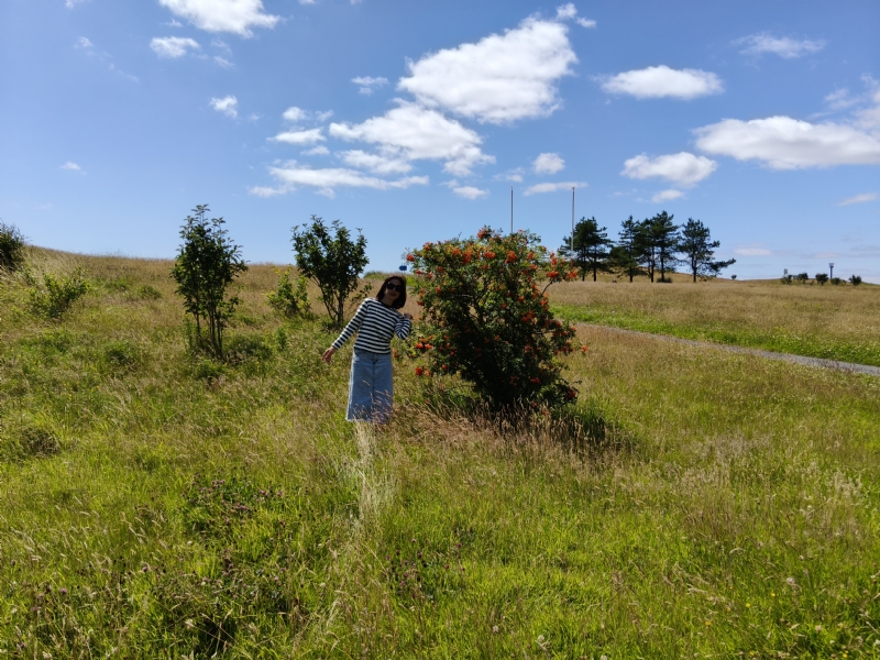 秋蝉的第一张照片--丽水相亲服务中心