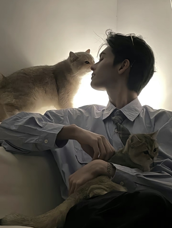 怪猫的第一张照片--丽水相亲服务中心