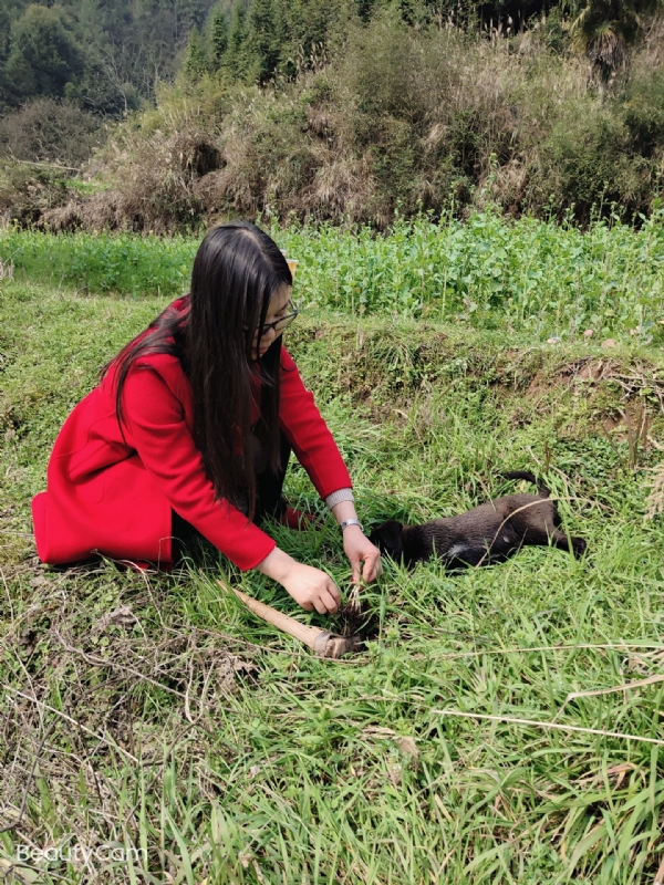 下一个春和秋的第一张照片--丽水相亲服务中心