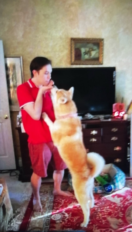 Leluch的第一张照片--丽水相亲服务中心