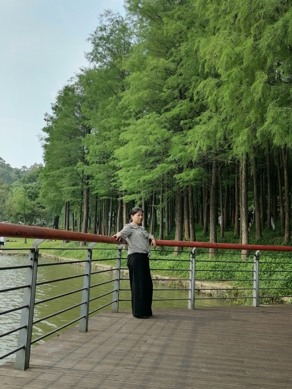 遗失的记忆的第二张照片--丽水相亲服务中心