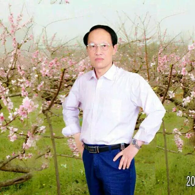 枫叶的第一张照片--丽水相亲服务中心