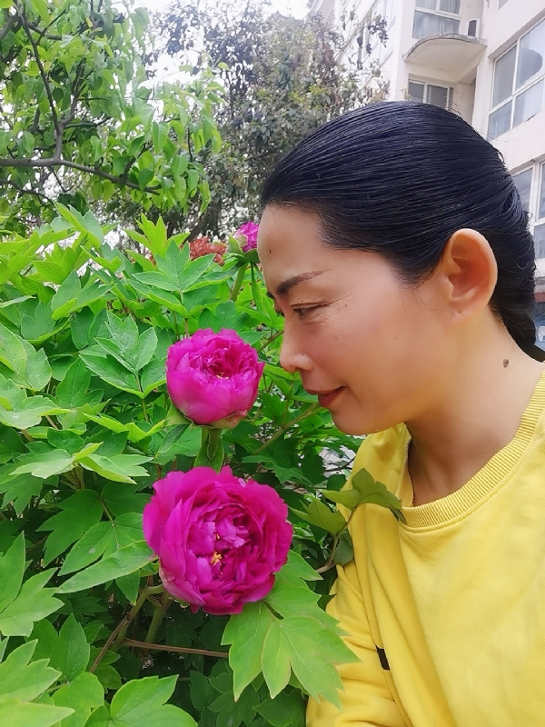 厚德载物的第一张照片--丽水相亲服务中心