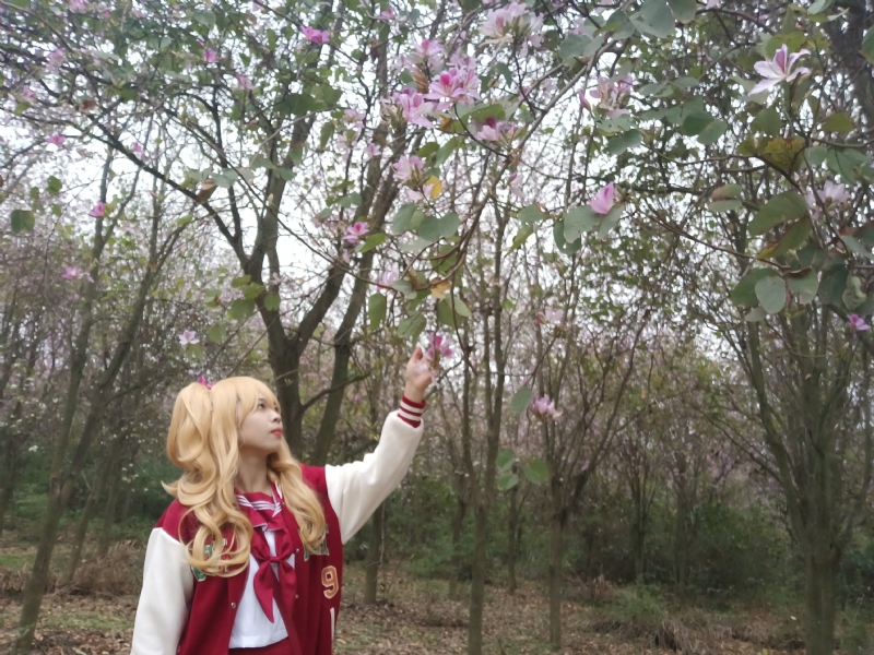 暮秋的第一张照片--丽水相亲服务中心