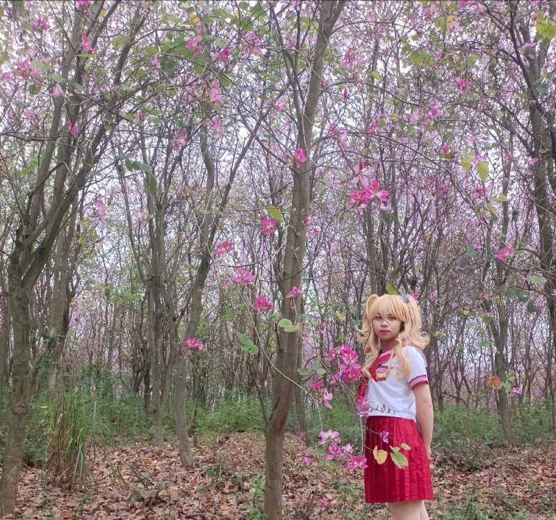 暮秋的第四张照片--丽水相亲服务中心