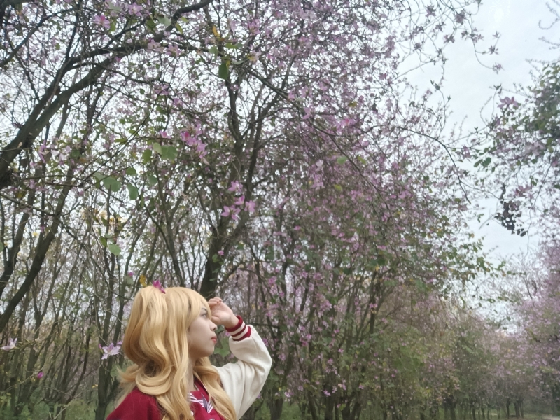 暮秋的第五张照片--丽水相亲服务中心