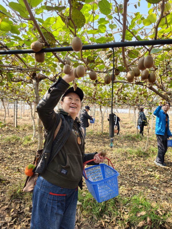 夜莺的第四张照片--丽水相亲服务中心